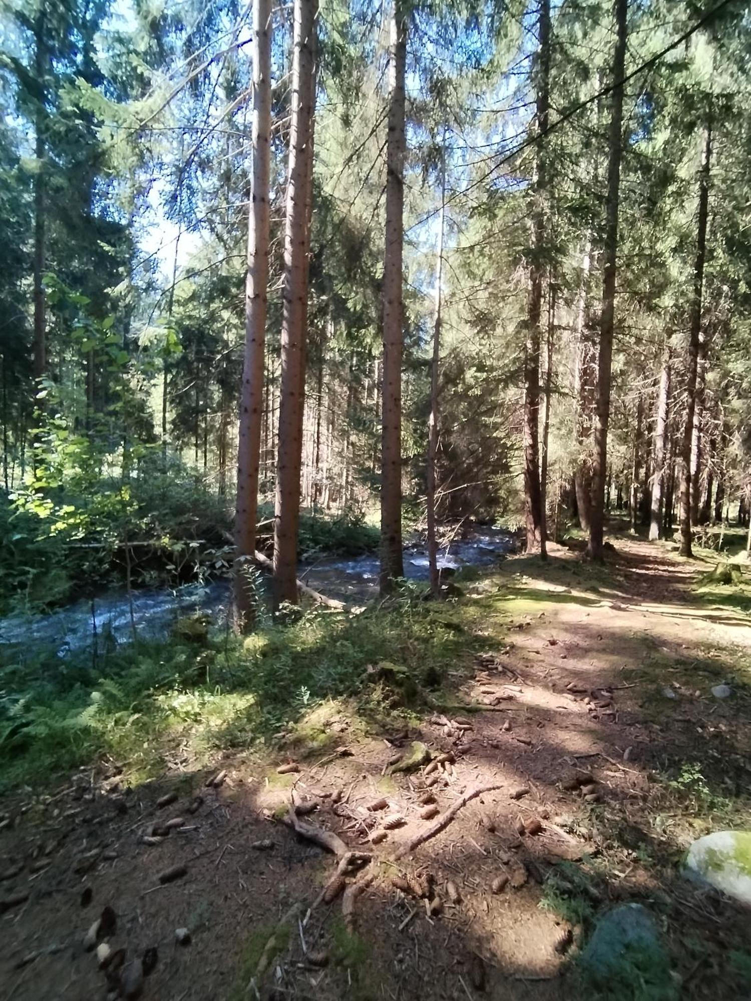Penzion Real Жьяр Экстерьер фото